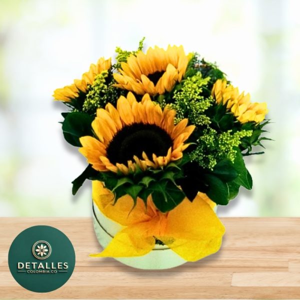 Girasoles redondo
