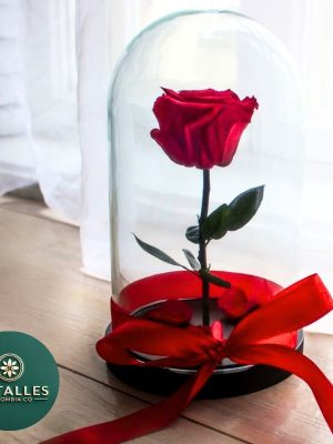 Rosa Preservada Roja